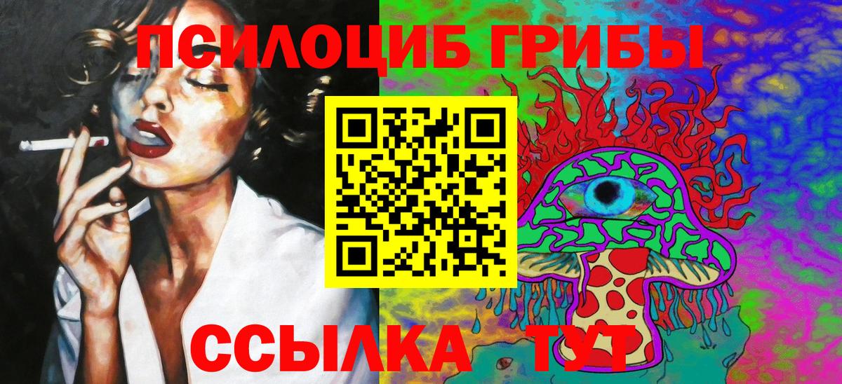 Галлюциногенные грибы Psilocybe  Вход с VPN  купить наркотики цена  Ишимбай 